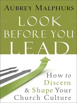 cover image of Look Before You Lead